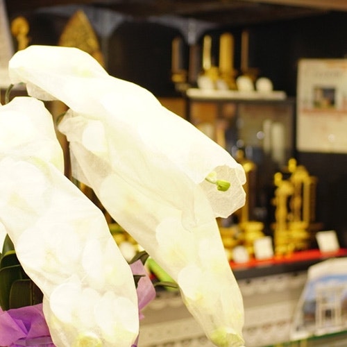 サムネイル画像 2