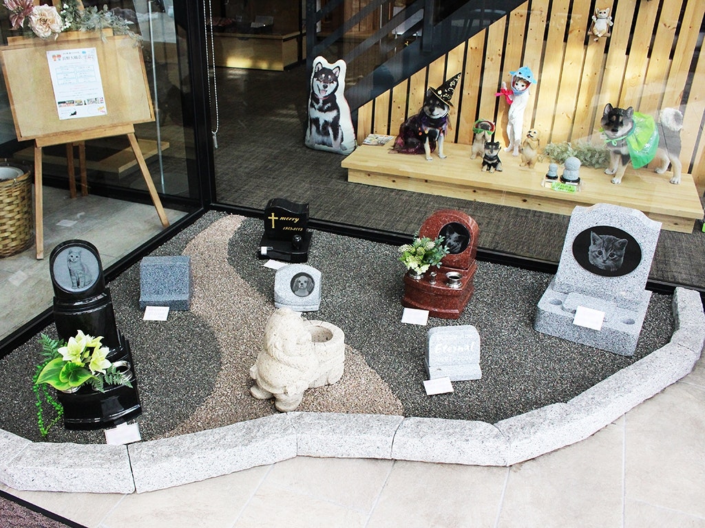 サムネイル画像 4