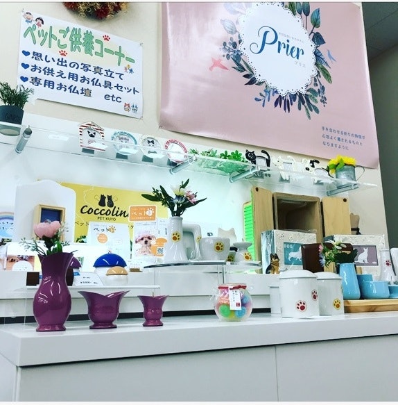 サムネイル画像 5