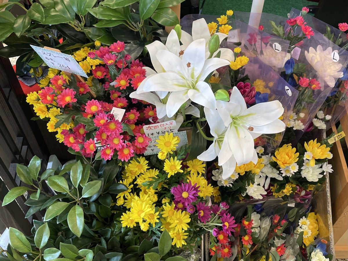 サムネイル画像 9