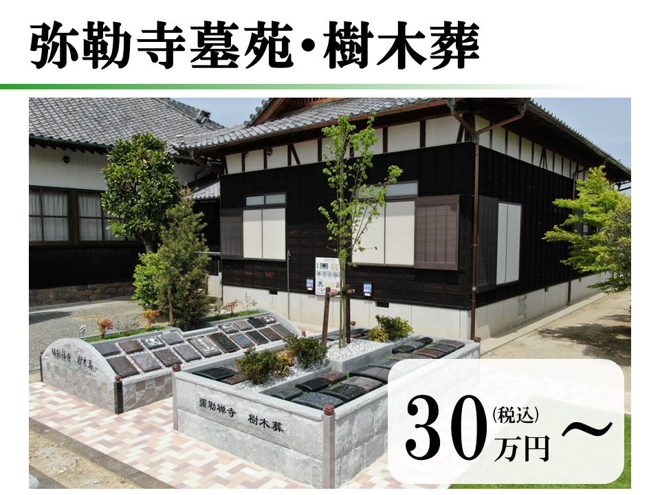 サムネイル画像 23