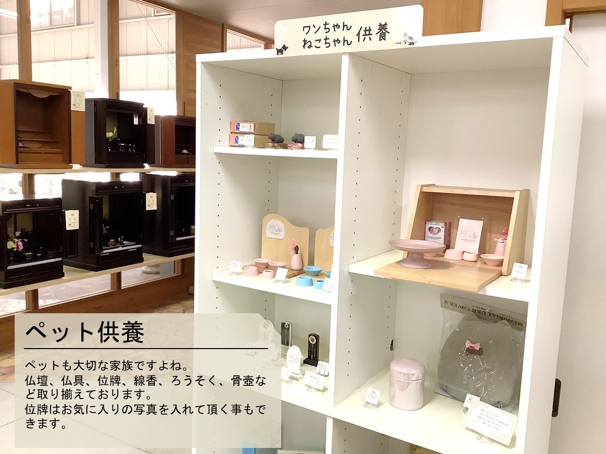 サムネイル画像 12