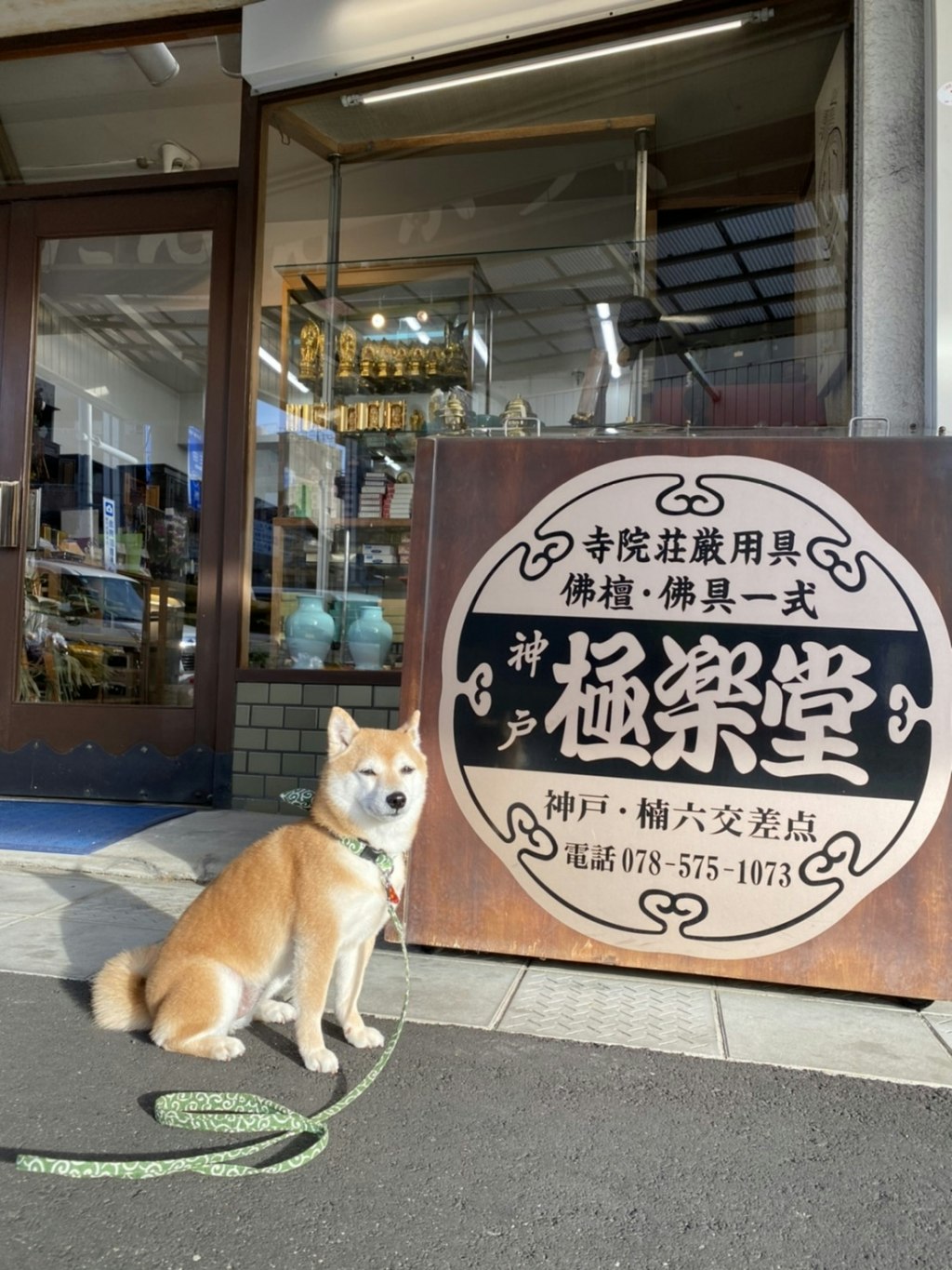 サムネイル画像 7