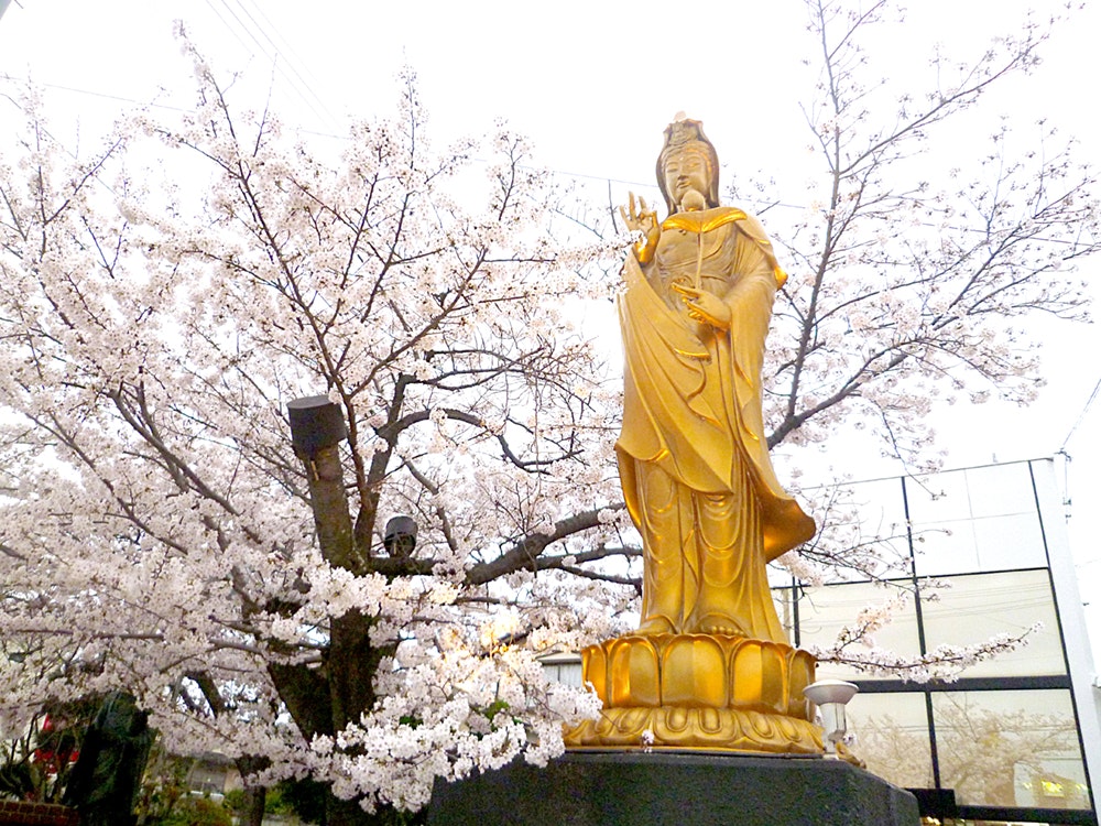 サムネイル画像 2