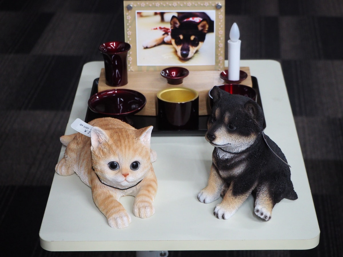 サムネイル画像 19