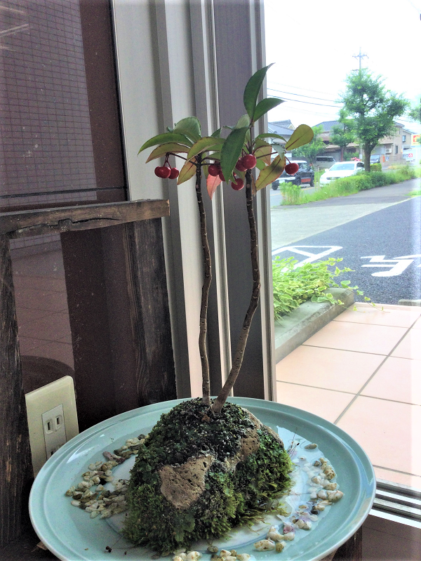 サムネイル画像 28