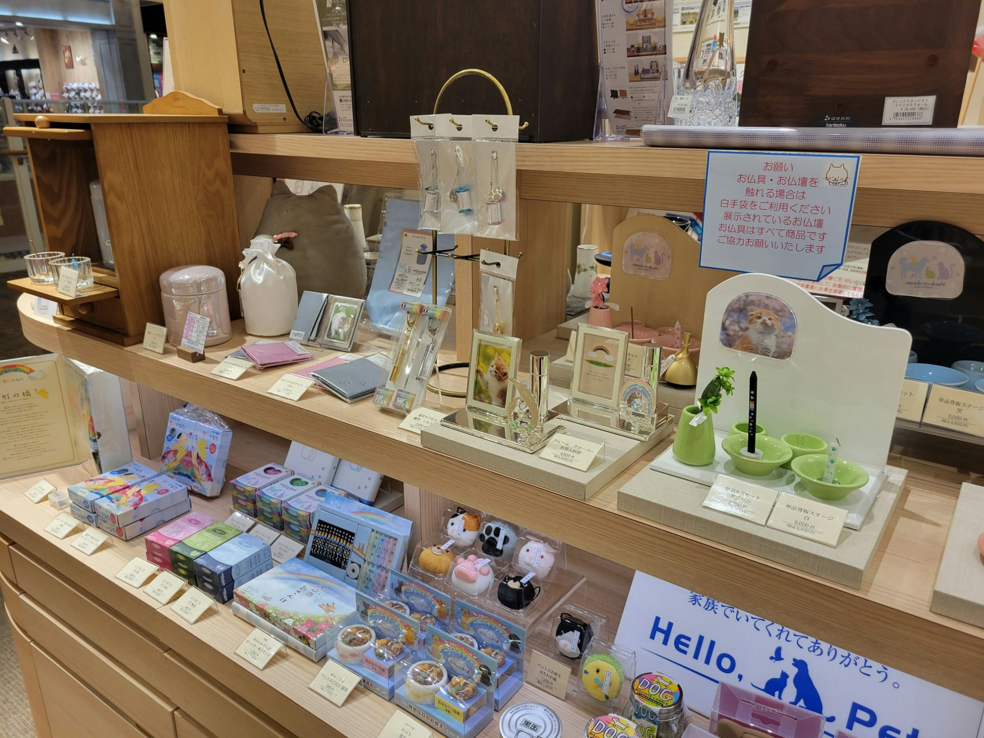 サムネイル画像 10