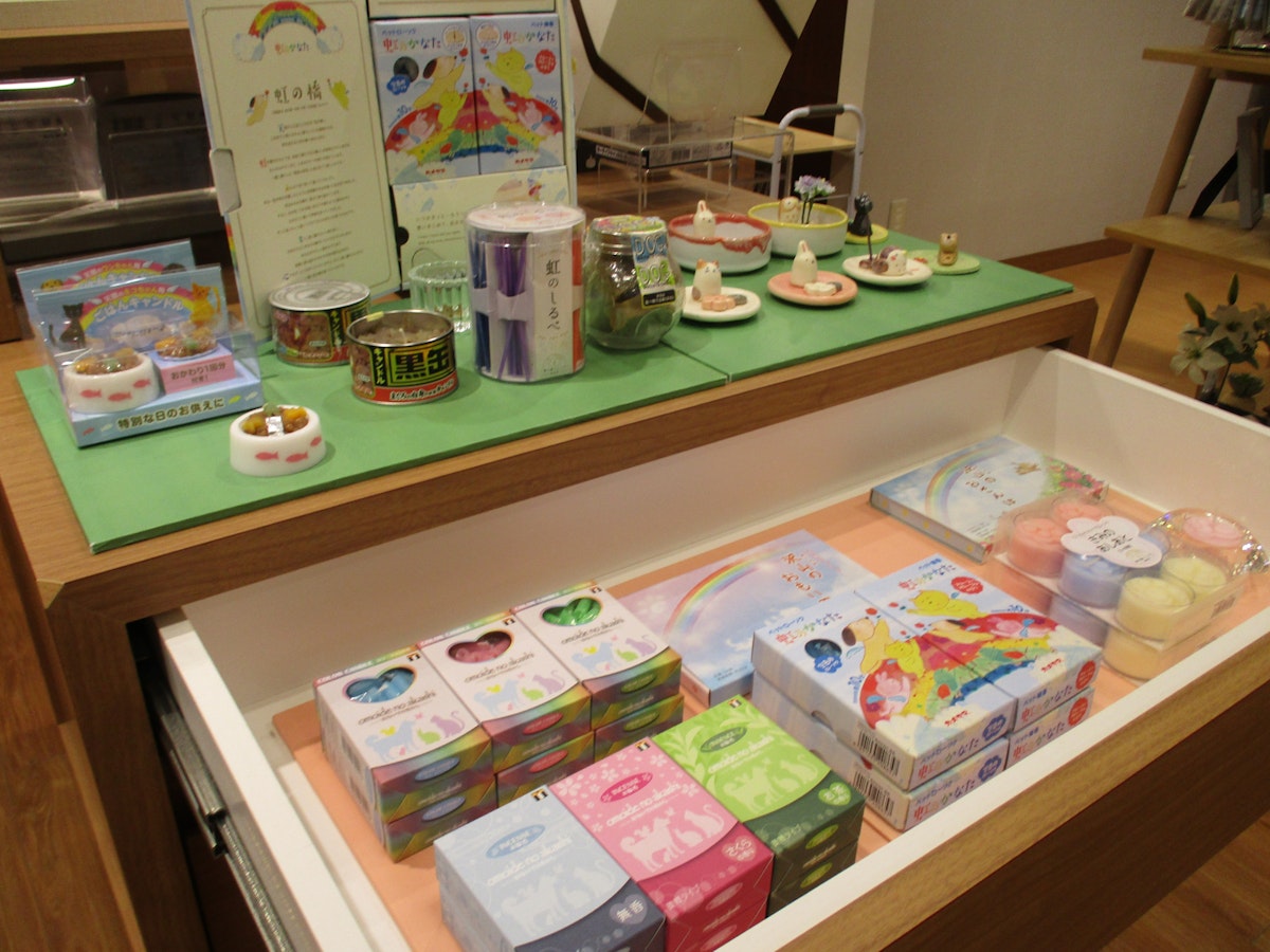 サムネイル画像 6