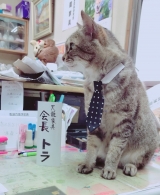 看板猫のトラ会長：「お待ちしてますにゃ」