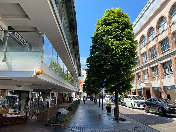 サムネイル画像 19