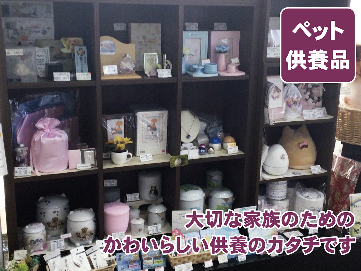 サムネイル画像 19