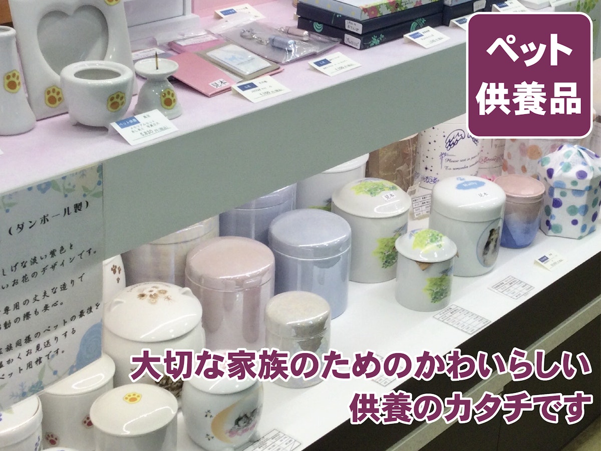 サムネイル画像 17